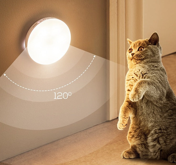 Luminaire with Motion Sensor