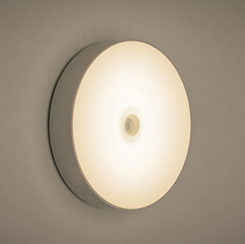 Luminaire with Motion Sensor