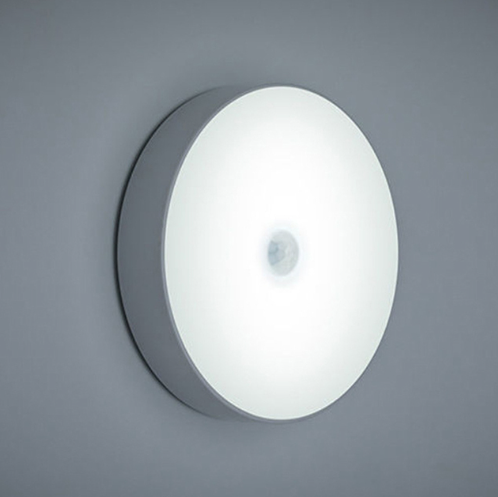 Luminaire with Motion Sensor